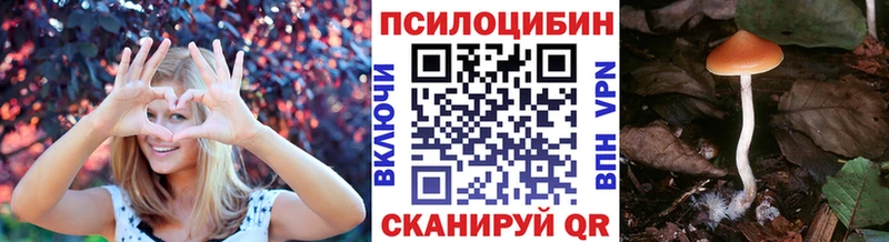 Псилоцибиновые грибы мицелий  Нальчик 